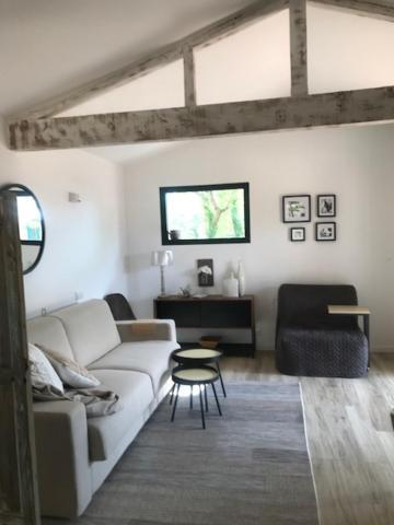 La Brindille Petit Mas Provencal Meuble De Tourisme 3 Etoiles 2-3 Personnes 1 Piece 30 M2 Tout Confort Lisiere Foret Jardin Jacuzzi Piscine Saint-Paul-en-Forêt Esterno foto