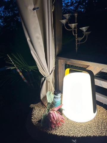 La Brindille Petit Mas Provencal Meuble De Tourisme 3 Etoiles 2-3 Personnes 1 Piece 30 M2 Tout Confort Lisiere Foret Jardin Jacuzzi Piscine Saint-Paul-en-Forêt Esterno foto